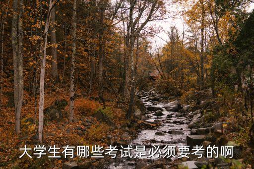 駕駛證本和駕考本有什么區別駕考寶典駕照加分...